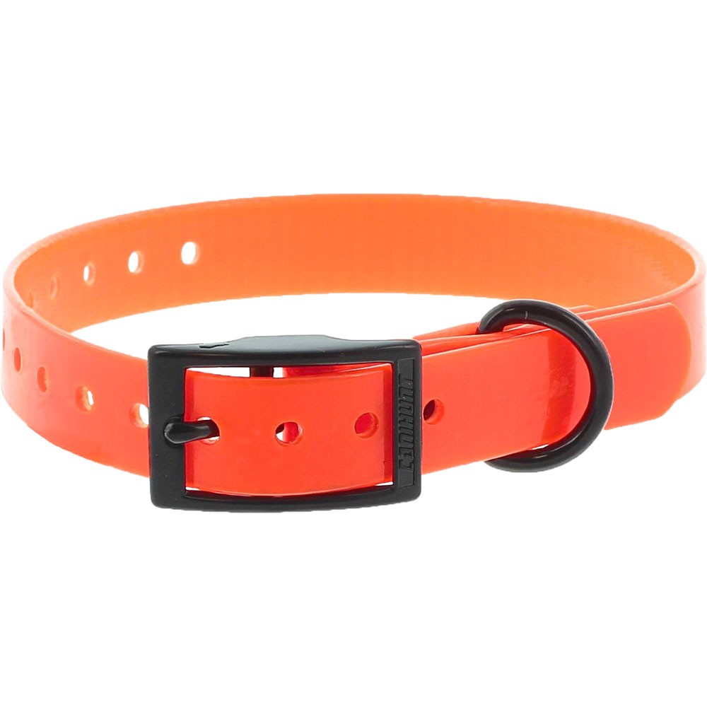 Collar EXTREME - 25mm