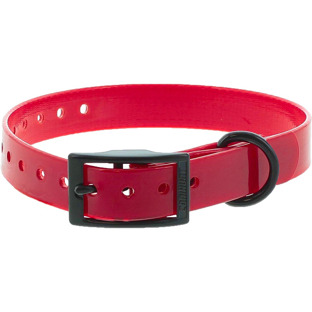 Collar EXTREME - 25mm