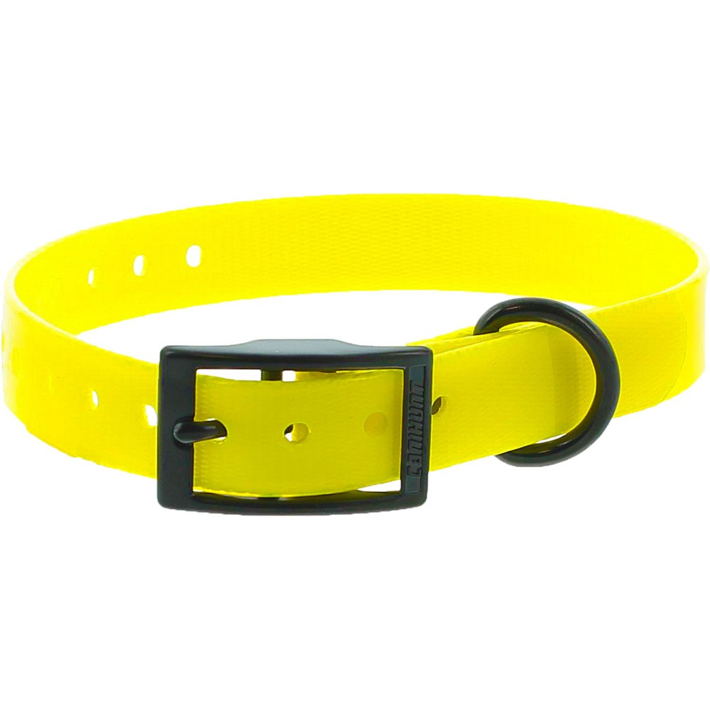 Collar EXTREME - 25mm
