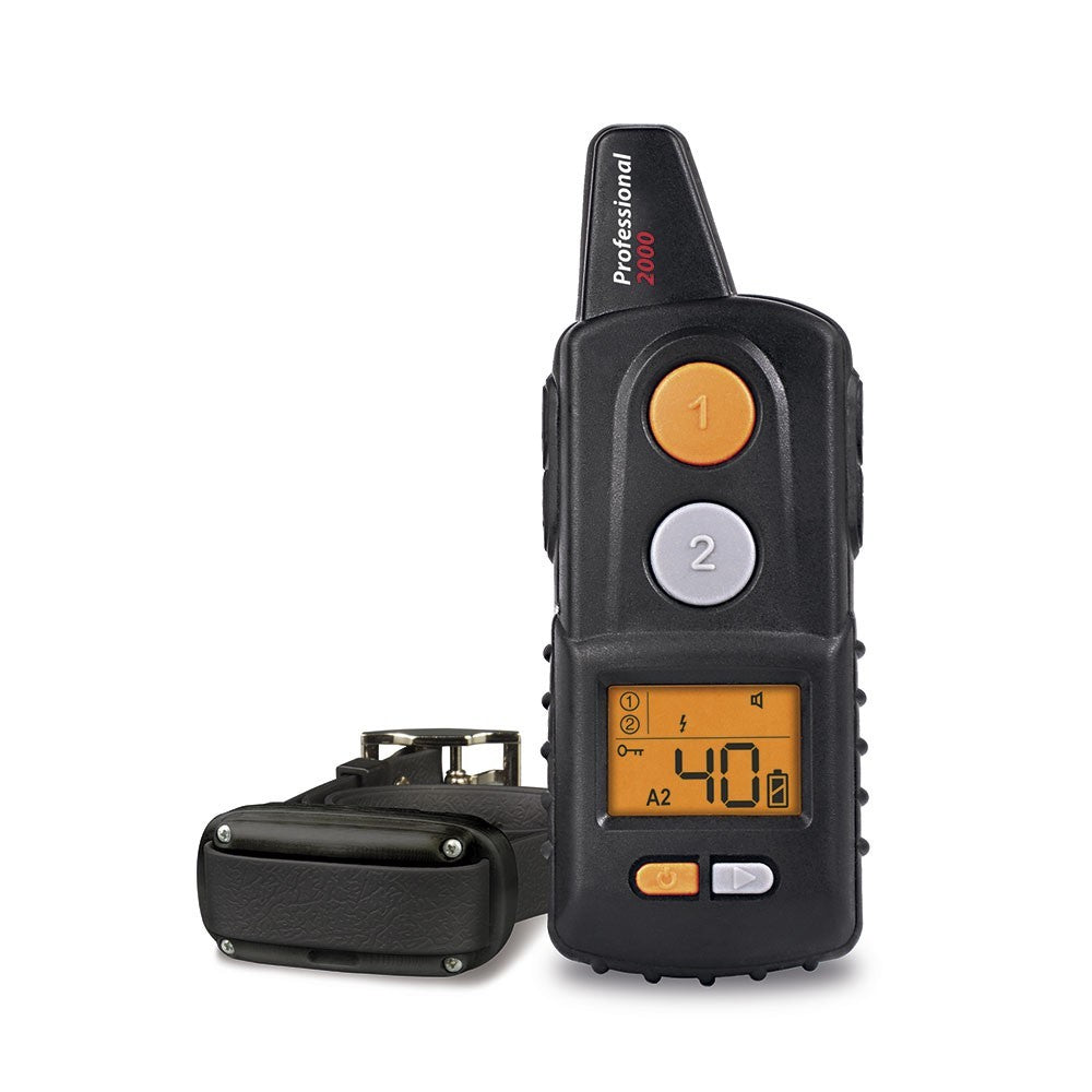 Dogtrace Professional 2000 One+ Negro