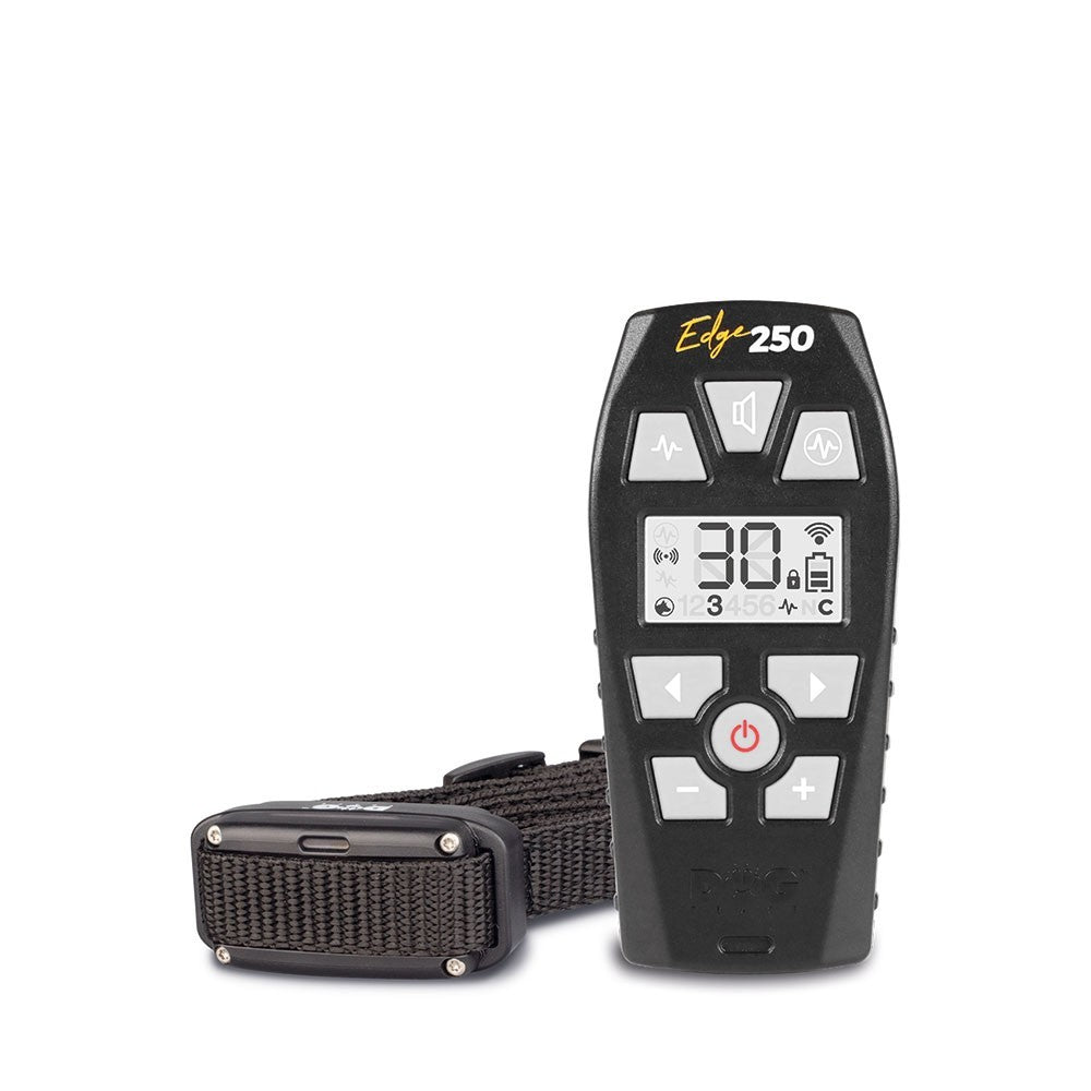 Dogtrace EDGE ONE 250