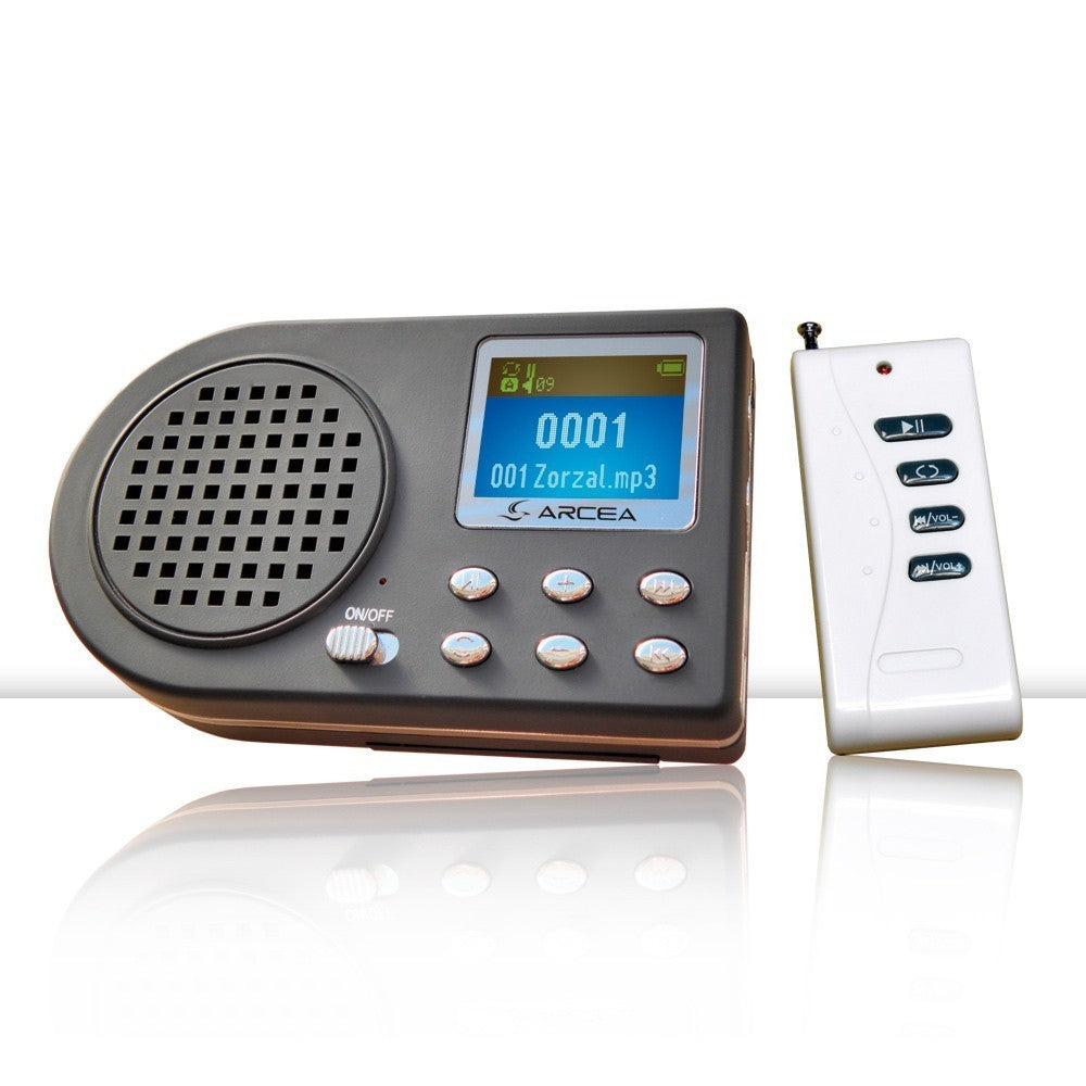 Reproductor Mp3 De Cantos Con Mando.